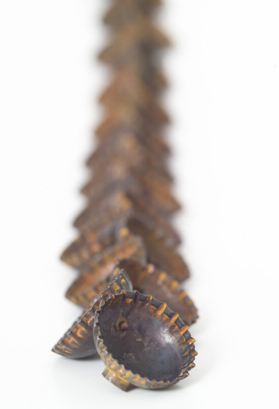 Capsules